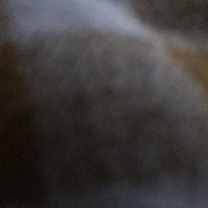 Meet your Posher, Elis